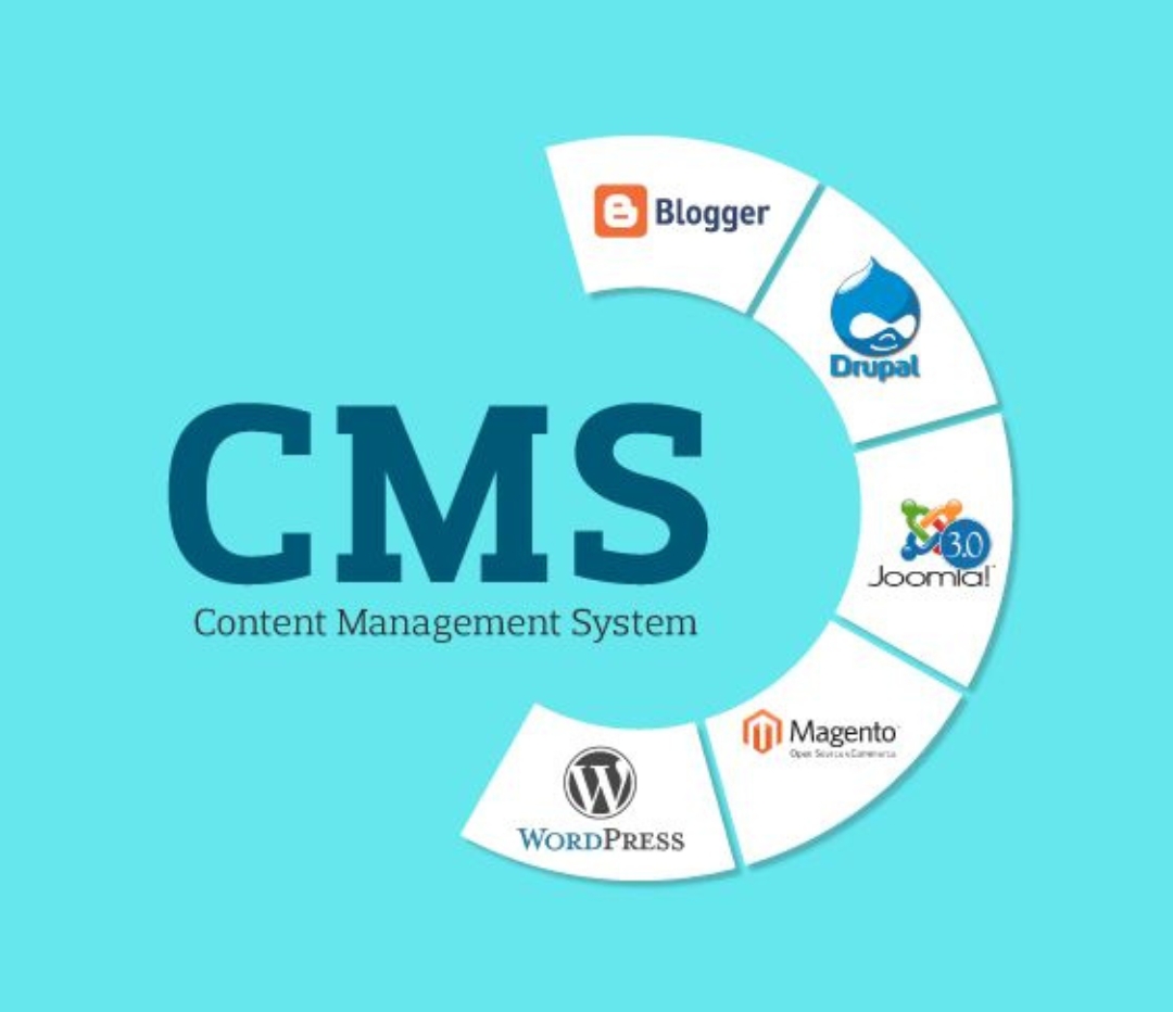 CMS Dynamic Website Design