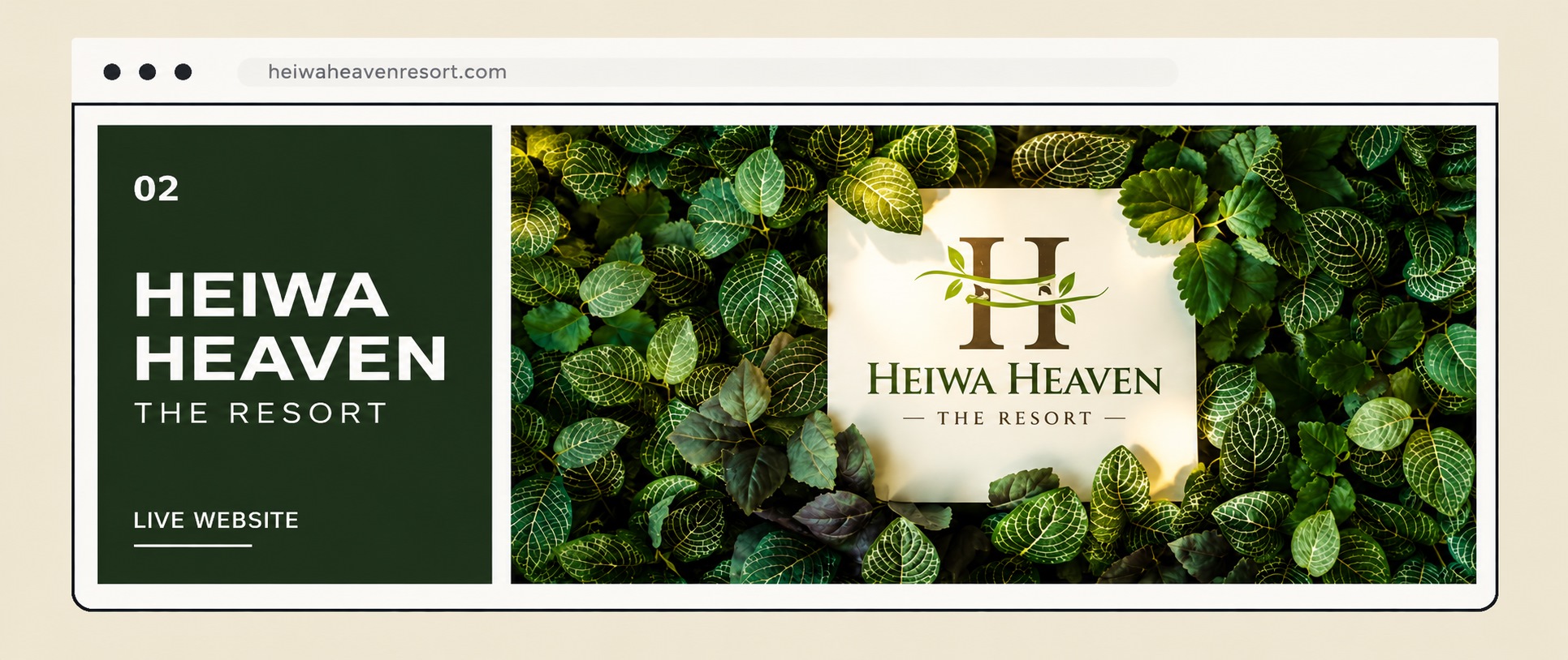 Website project 2