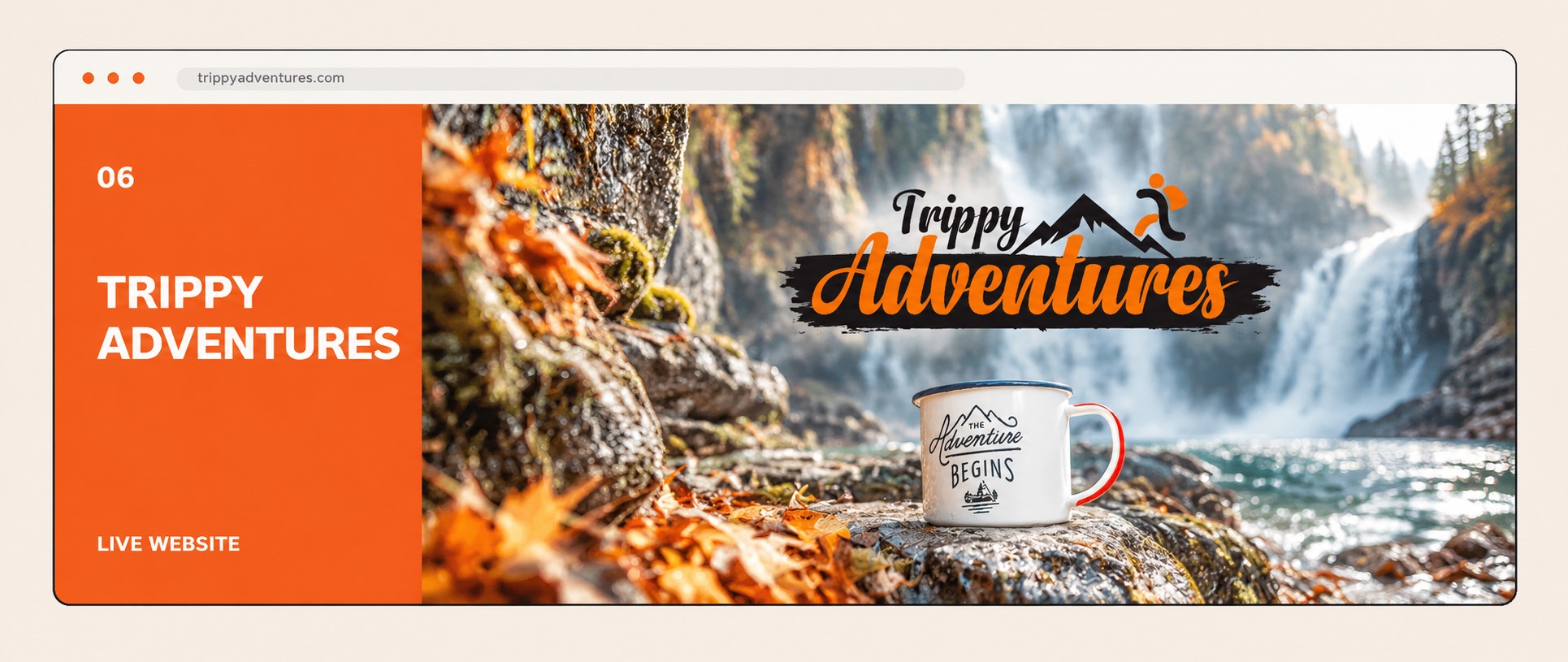 Website project 6